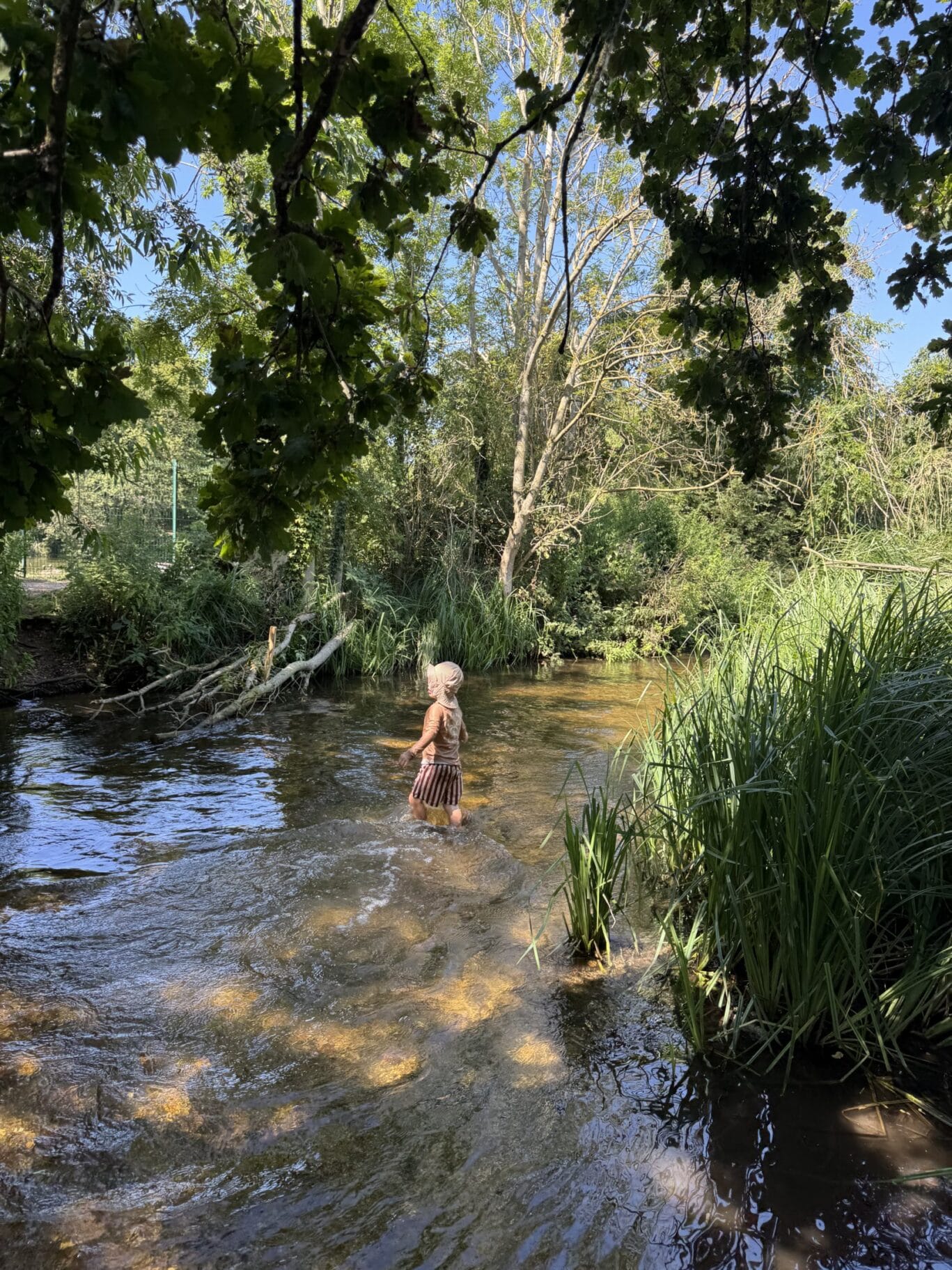 River Chess