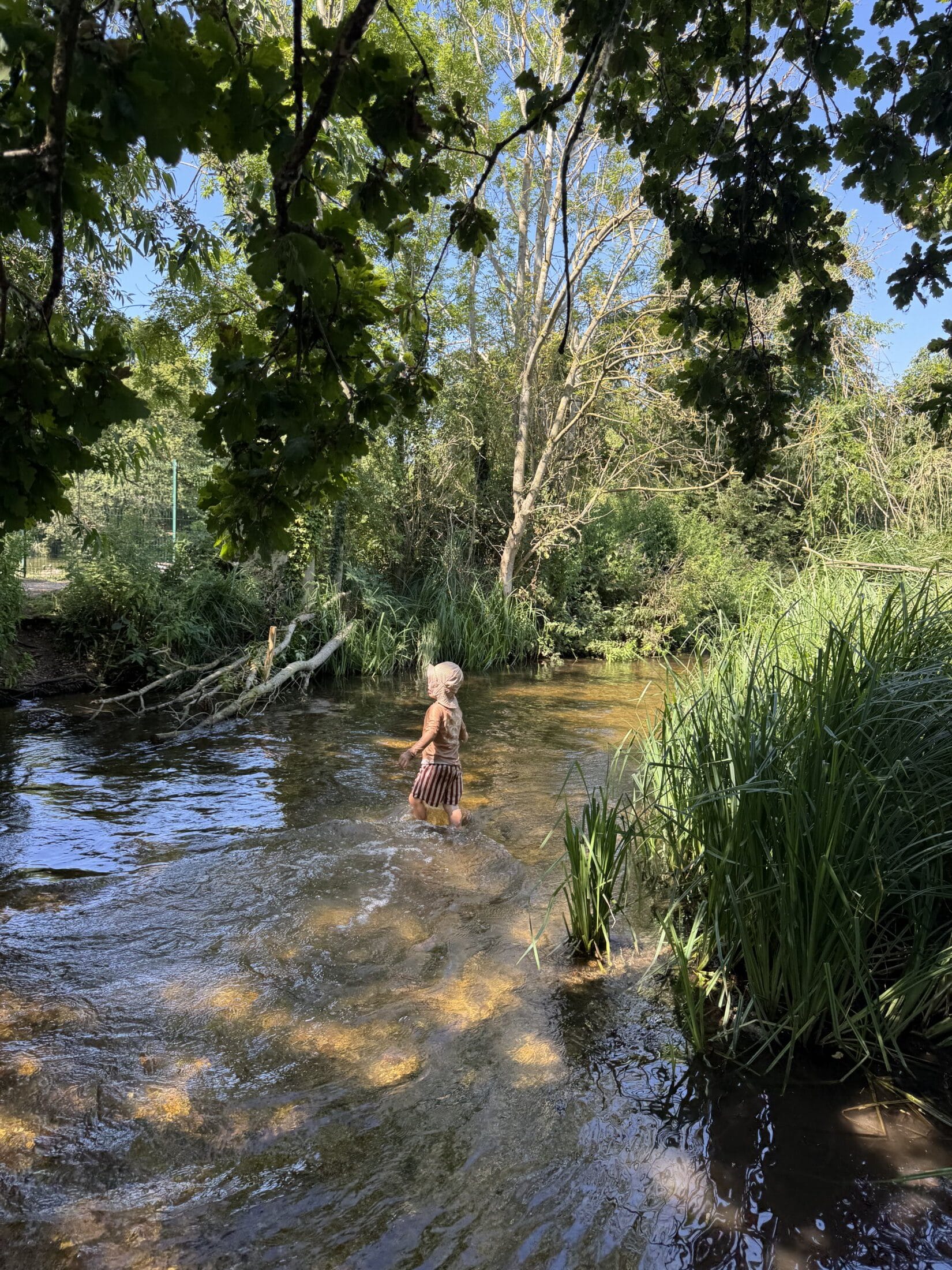 River Chess