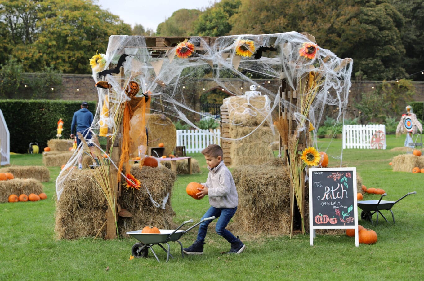 pumpkin patch