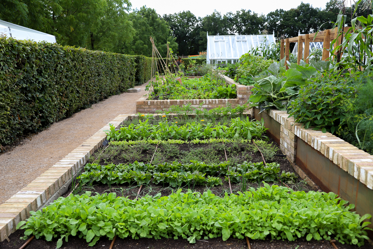 Jemima's Kitchen Garden