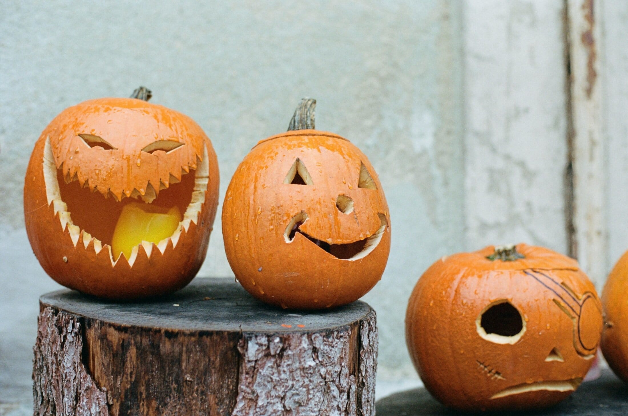 pumpkin