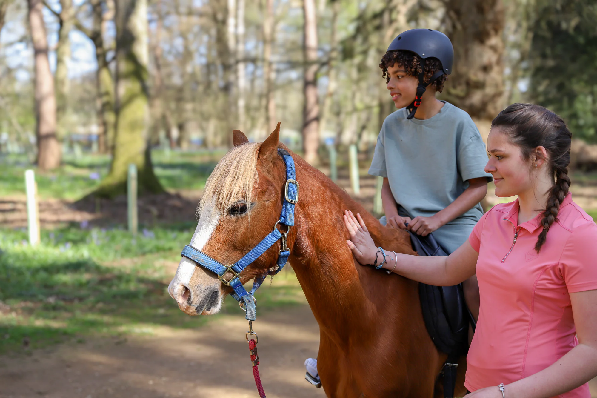 Pony Rides
