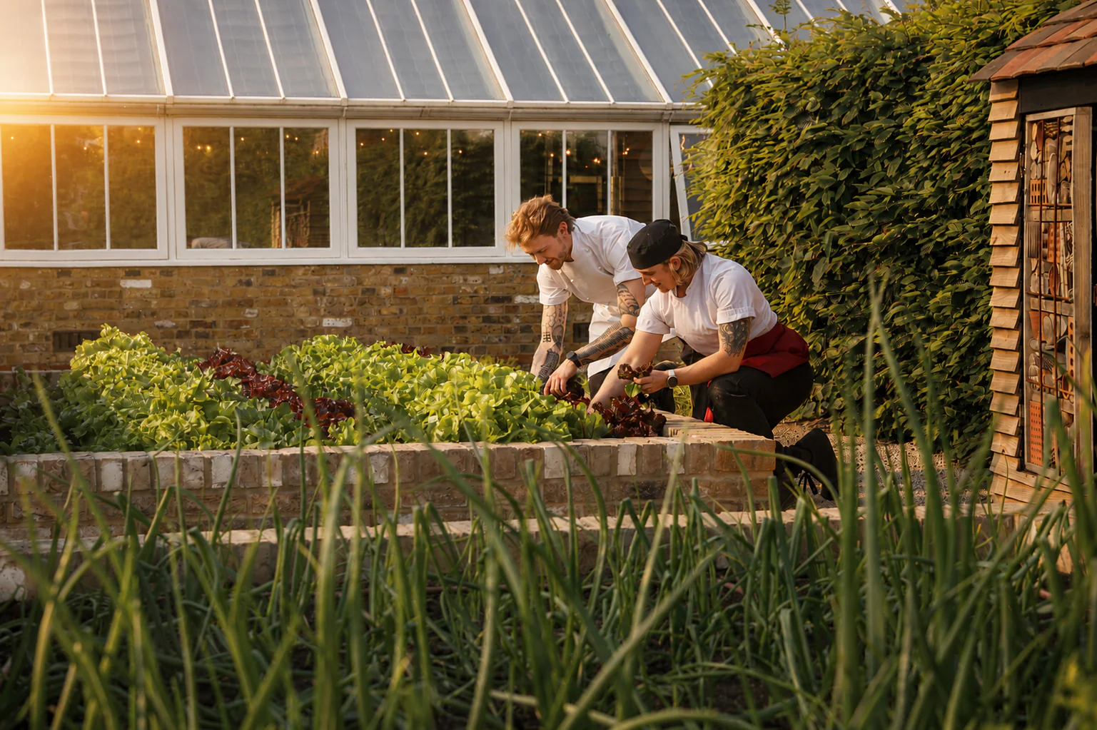 Jemima's Kitchen Garden Chefs
