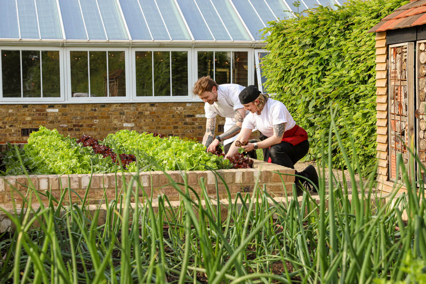 Jemima's Kitchen Garden Dining